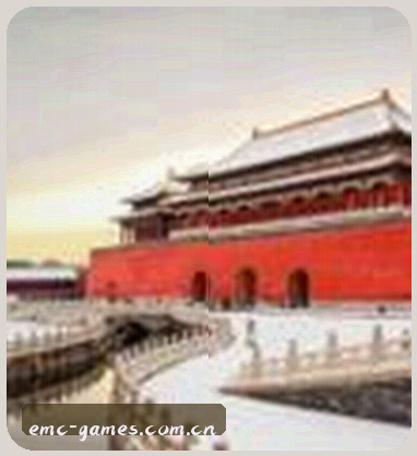 陈总